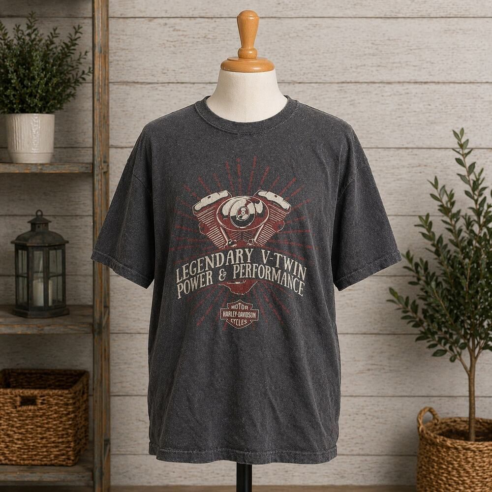 Harley-Davidson Eastside Bellevue WA Graphic Tee Medium VTG Fade V-Twin Shirt M